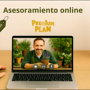 ASESORAMIENTO ONLINE - MEMBRESÍA PREMIUM