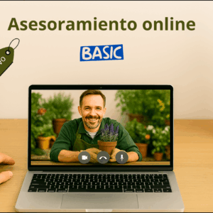 ASESORAMIENTO ONLINE - MEMBRESÍA BÁSICA